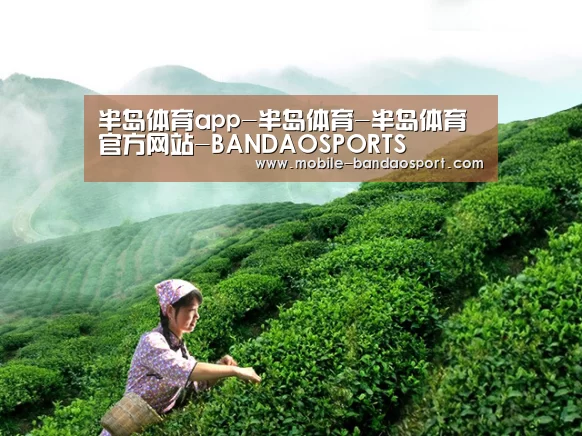 半岛体育app-半岛体育-半岛体育官方网站-BANDAOSPORTS
