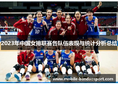 2023年中国女排联赛各队伍表现与统计分析总结