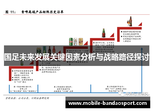 国足未来发展关键因素分析与战略路径探讨