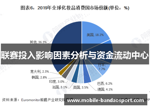联赛投入影响因素分析与资金流动中心