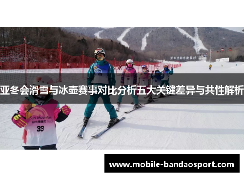 亚冬会滑雪与冰壶赛事对比分析五大关键差异与共性解析