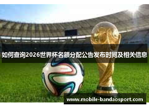 如何查询2026世界杯名额分配公告发布时间及相关信息
