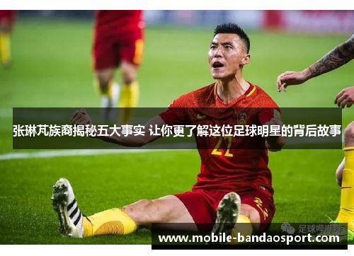 张琳芃族裔揭秘五大事实 让你更了解这位足球明星的背后故事