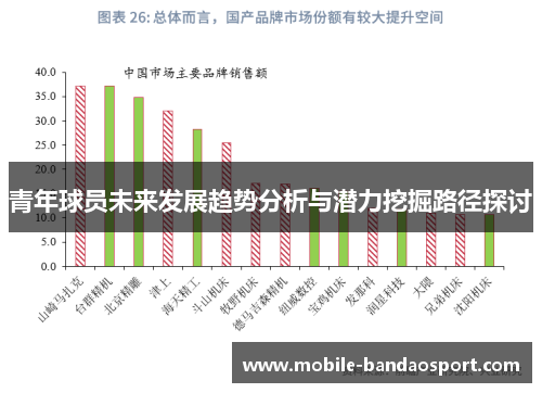 青年球员未来发展趋势分析与潜力挖掘路径探讨 青年球员未来发展趋势分析与潜力挖掘路径探讨