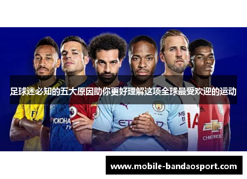 足球迷必知的五大原因助你更好理解这项全球最受欢迎的运动