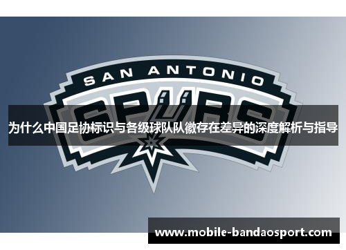 为什么中国足协标识与各级球队队徽存在差异的深度解析与指导