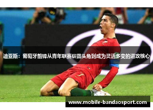 迪亚斯:葡萄牙前锋从青年联赛崭露头角到成为灵活多变的进攻核心 迪亚斯:葡萄牙前锋从青年联赛崭露头角到成为灵活多变的进攻核心