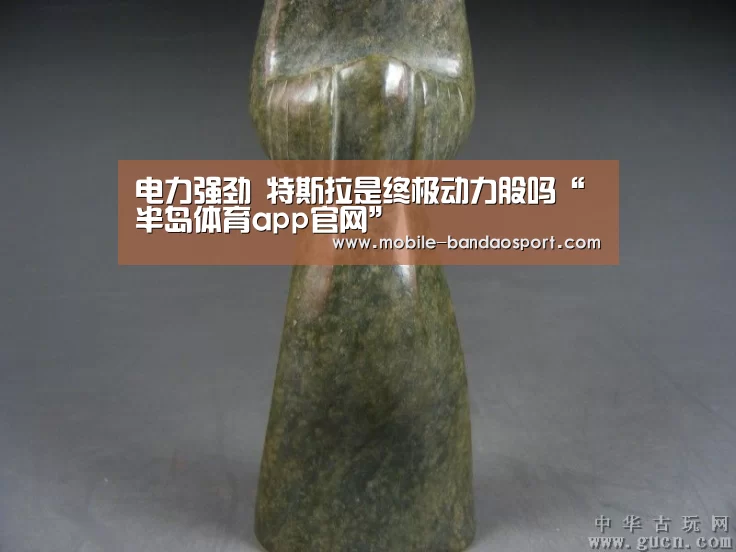 电力强劲 特斯拉是终极动力股吗“半岛体育app官网”
