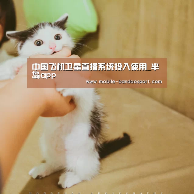 中国飞机卫星直播系统投入使用_半岛app(图3) 半岛体育app官网