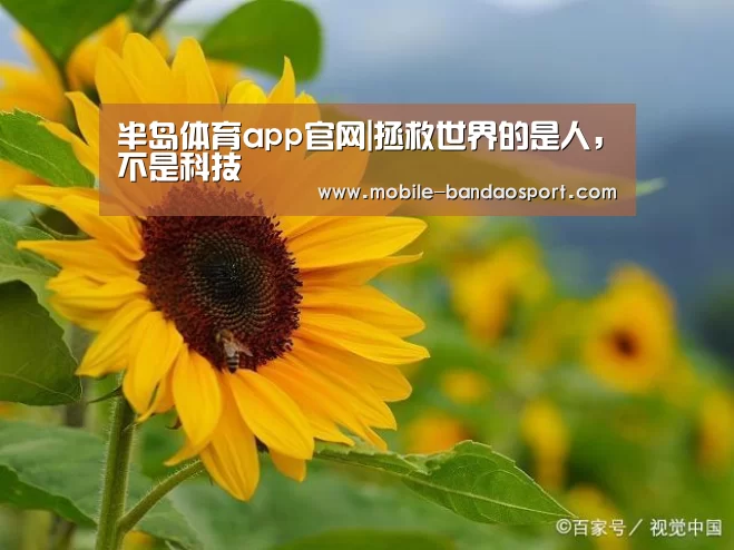 半岛体育app官网